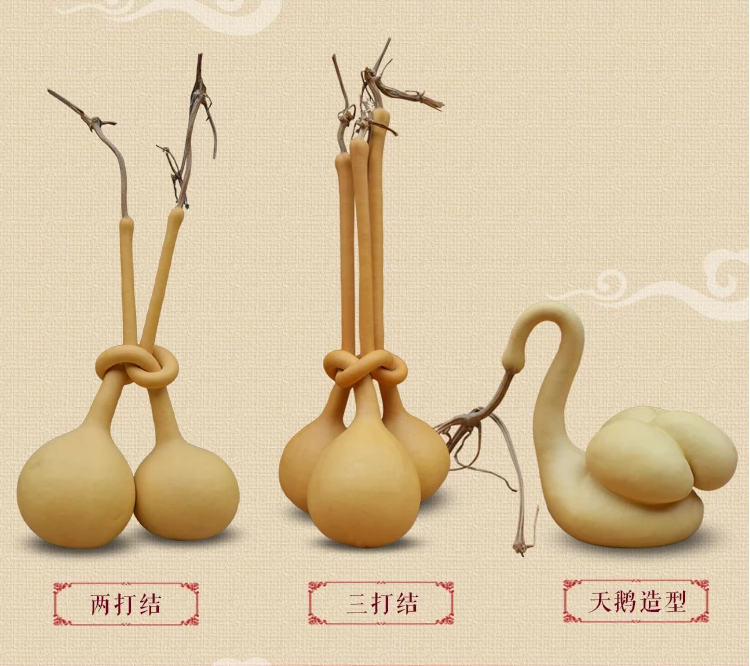 驚呆了，造型獨(dú)特的葫蘆工藝品