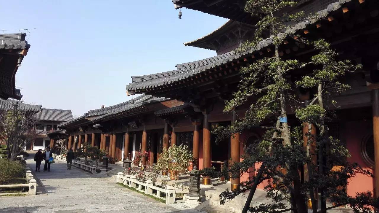 膩害了，上海有座40000㎡的水下博物館