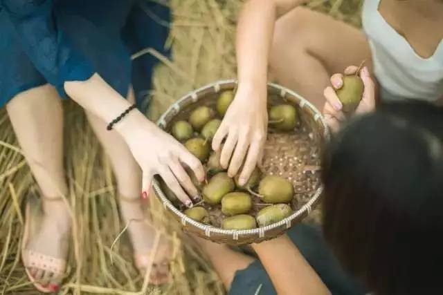 竹里云溪民宿設計，回歸田園