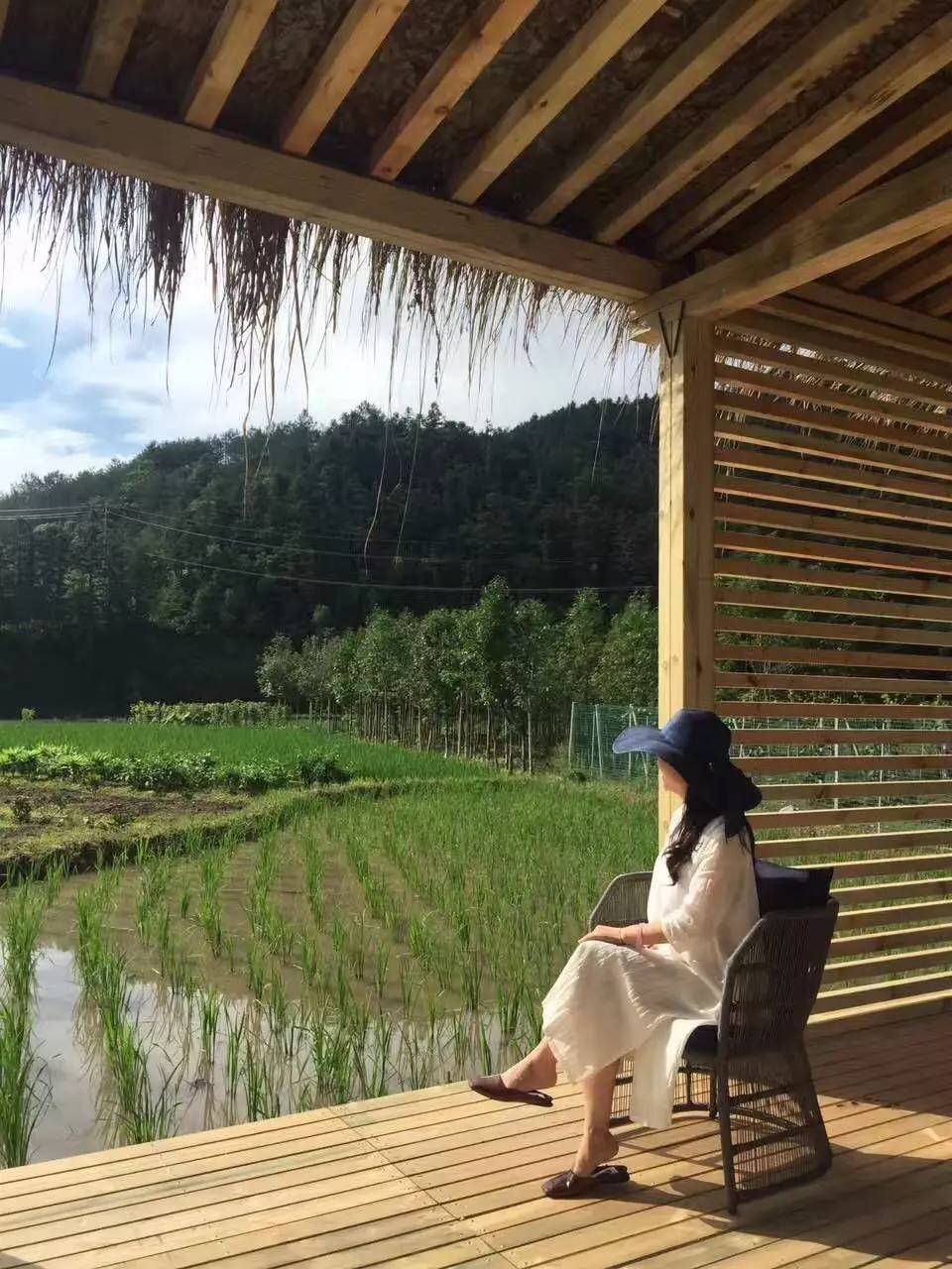 竹里云溪民宿設計，回歸田園