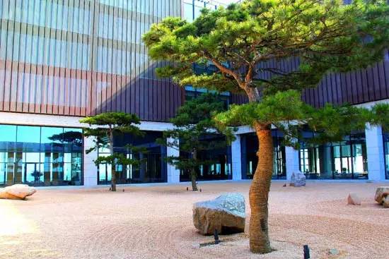 世外桃源的度假勝地，青島涵碧樓度假酒店