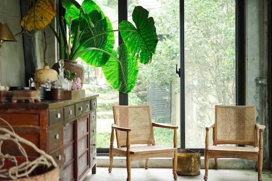 臺(tái)灣最文藝的山間小屋，數(shù)樹(shù)民宿設(shè)計(jì)