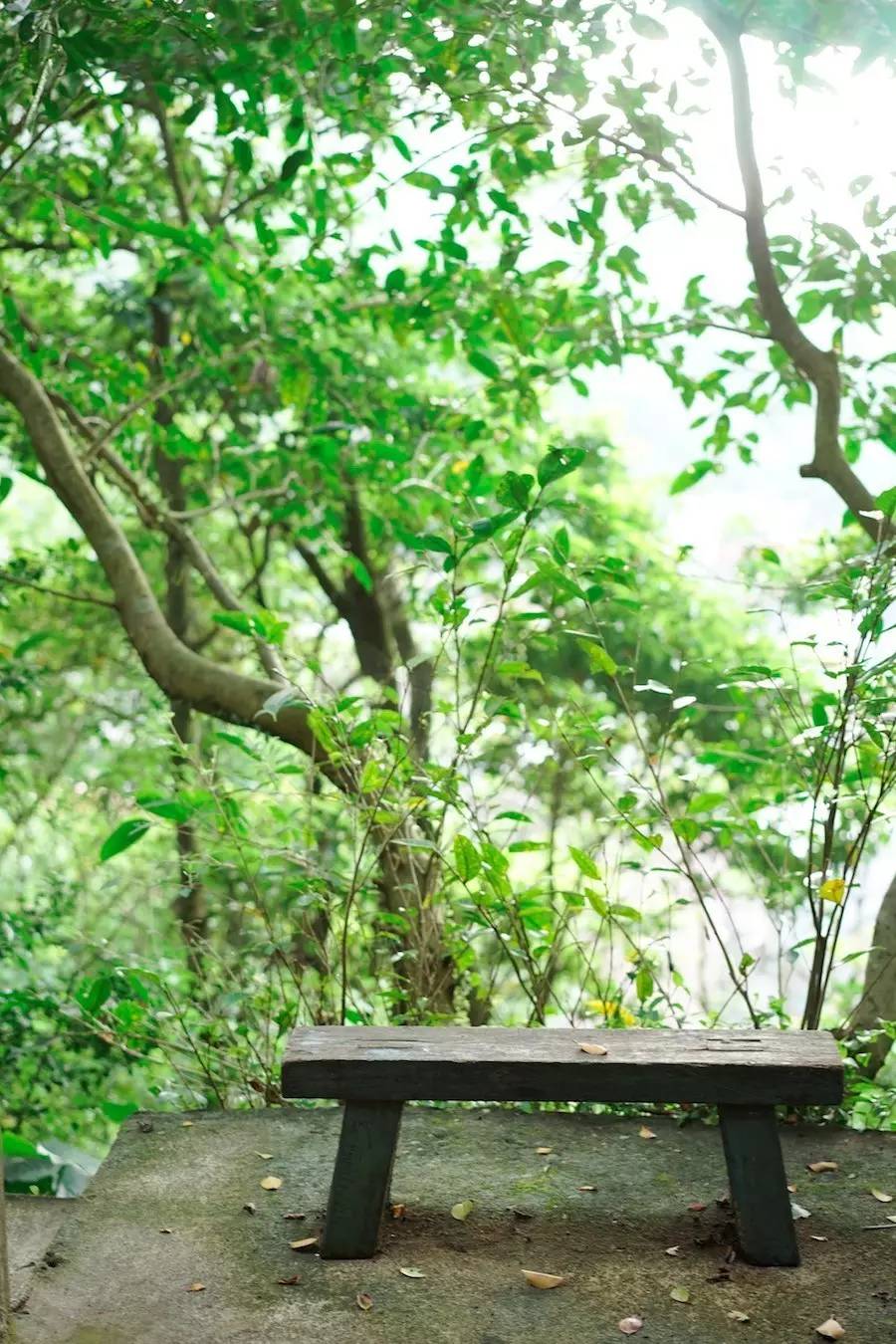 臺灣最文藝的山間小屋，數(shù)樹民宿設(shè)計