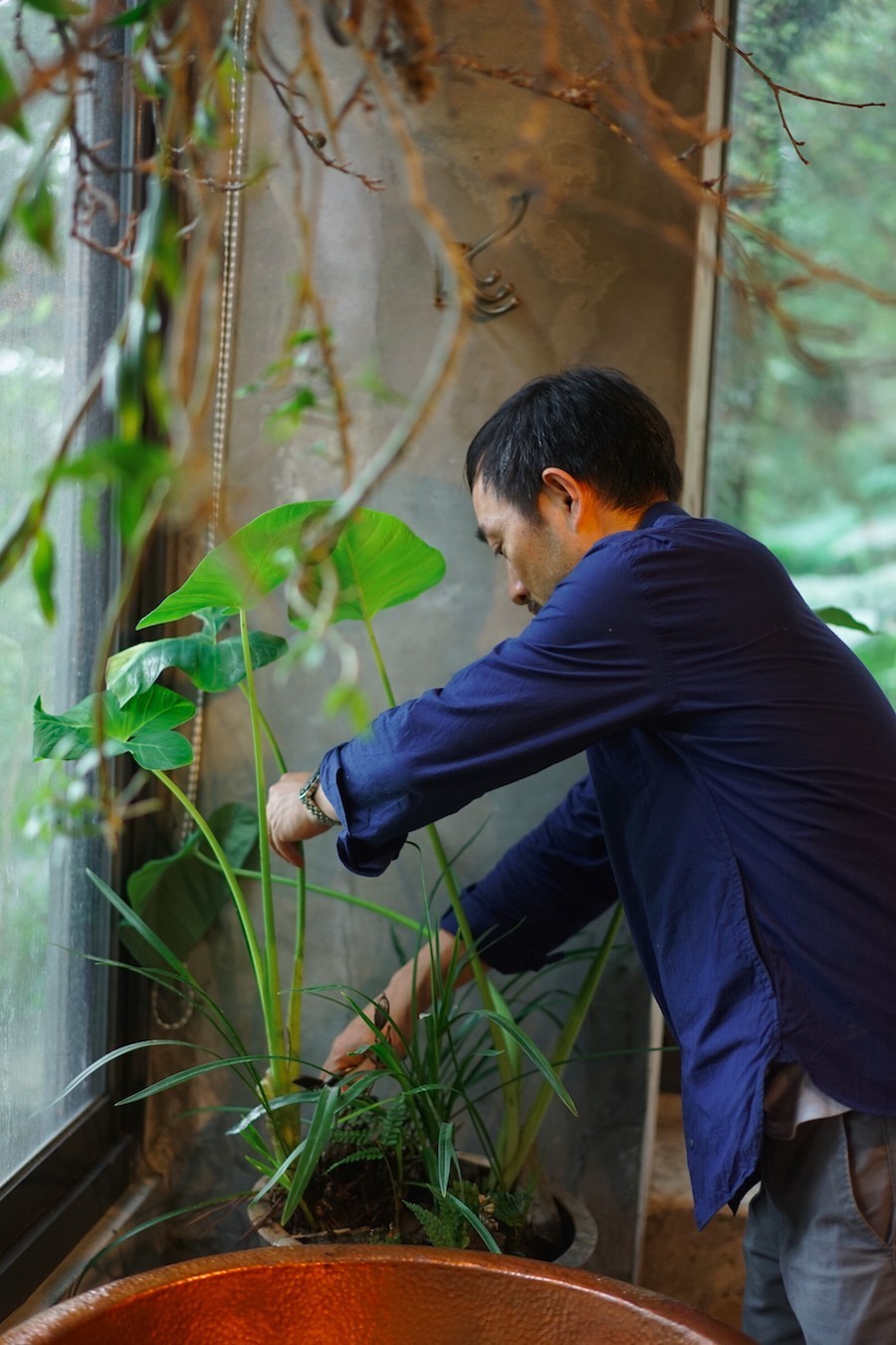 臺(tái)灣最文藝的山間小屋，數(shù)樹(shù)民宿設(shè)計(jì)