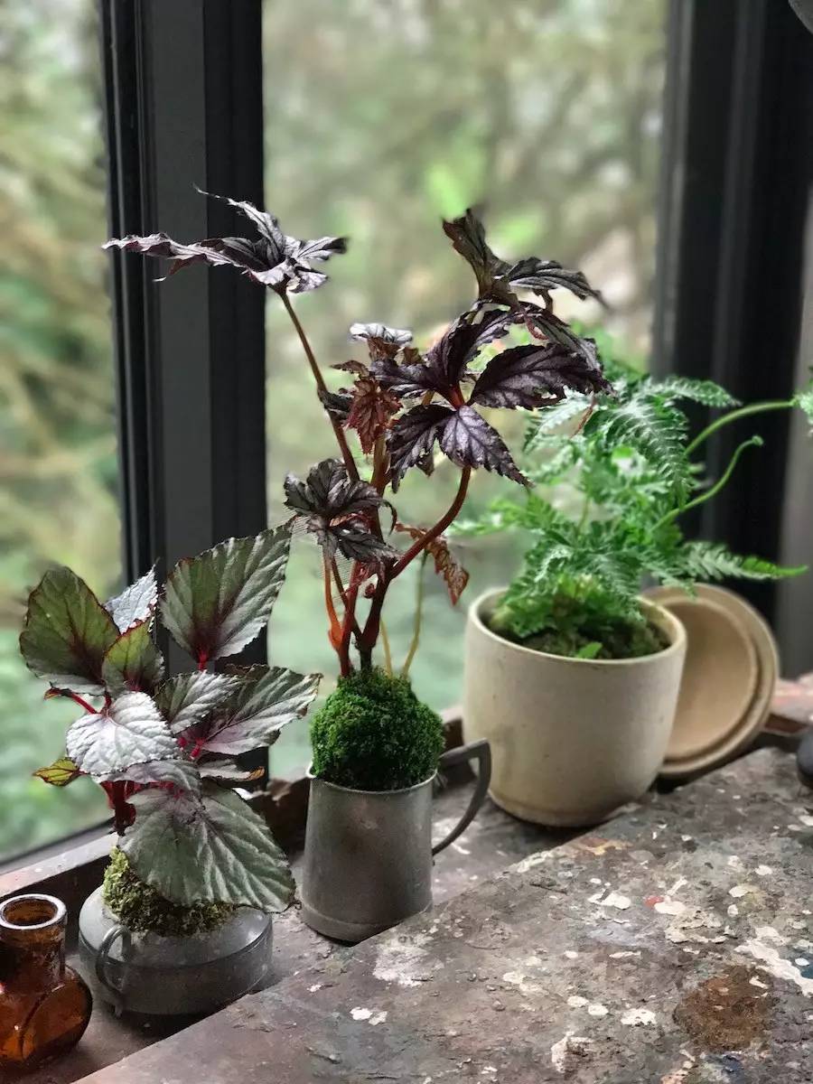 臺灣最文藝的山間小屋，數(shù)樹民宿設(shè)計