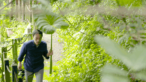 臺(tái)灣最文藝的山間小屋，數(shù)樹(shù)民宿設(shè)計(jì)