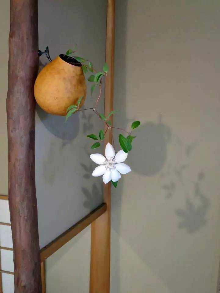 日本茶道文化的八大美：缺陷、簡素、枯槁、自