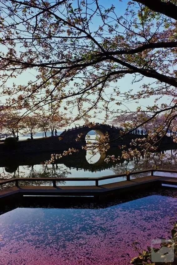 中國(guó)古建筑之古橋藝術(shù)