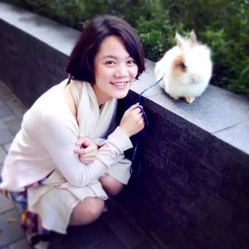 林中四舍民宿設(shè)計(jì)，一所鳥(niǎo)語(yǔ)花香的小木屋