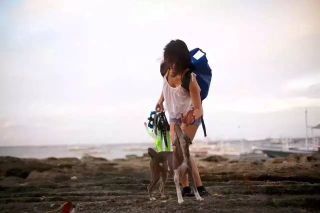 林中四舍民宿設(shè)計(jì)，一所鳥(niǎo)語(yǔ)花香的小木屋