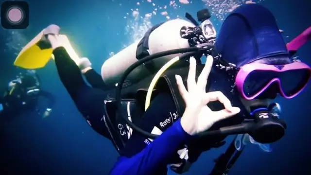 林中四舍民宿設(shè)計(jì)，一所鳥語(yǔ)花香的小木屋