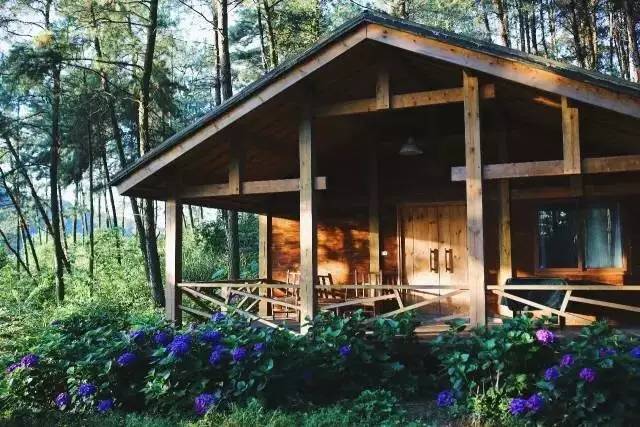 林中四舍民宿設(shè)計(jì)，一所鳥語(yǔ)花香的小木屋