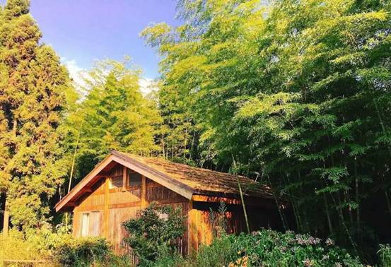 林中四舍民宿設計，一所鳥語花香的小木屋