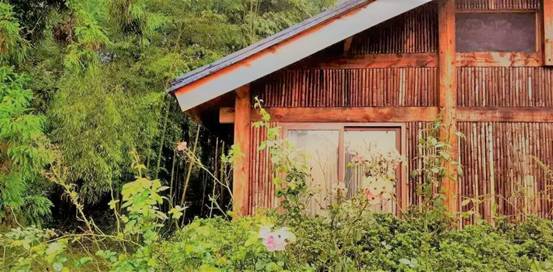 林中四舍民宿設計，一所鳥語花香的小木屋