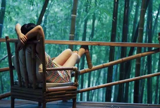 林中四舍民宿設(shè)計，一所鳥語花香的小木屋