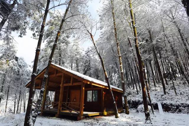 林中四舍民宿設計，一所鳥語花香的小木屋