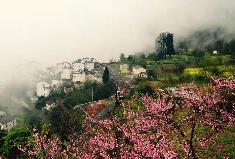 景瀾·返里民宿設(shè)計(jì)，返回故里