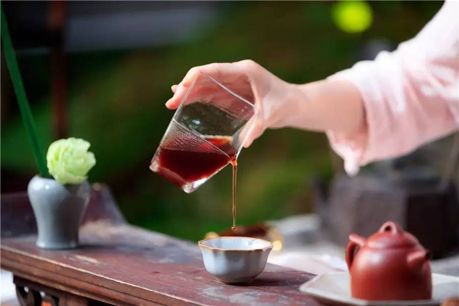 觀芷隱軒，以茶會(huì)友的民宿