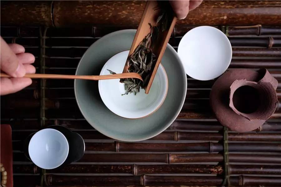 觀芷隱軒，以茶會(huì)友的民宿