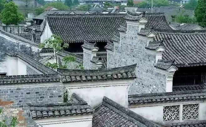 慈舍，悲喜隱去慈從舍生