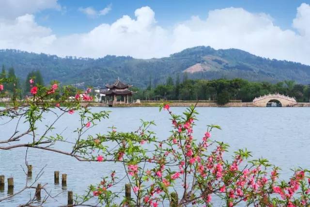 慈舍，悲喜隱去慈從舍生