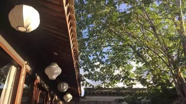 慈舍，悲喜隱去慈從舍生