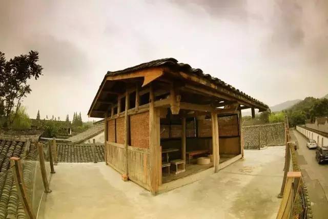 慈舍，悲喜隱去慈從舍生