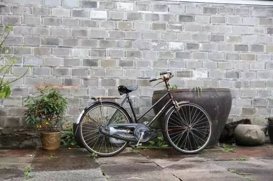 慈舍，悲喜隱去慈從舍生