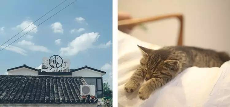 小日子生活館，選一本書過(guò)自己的生活方式