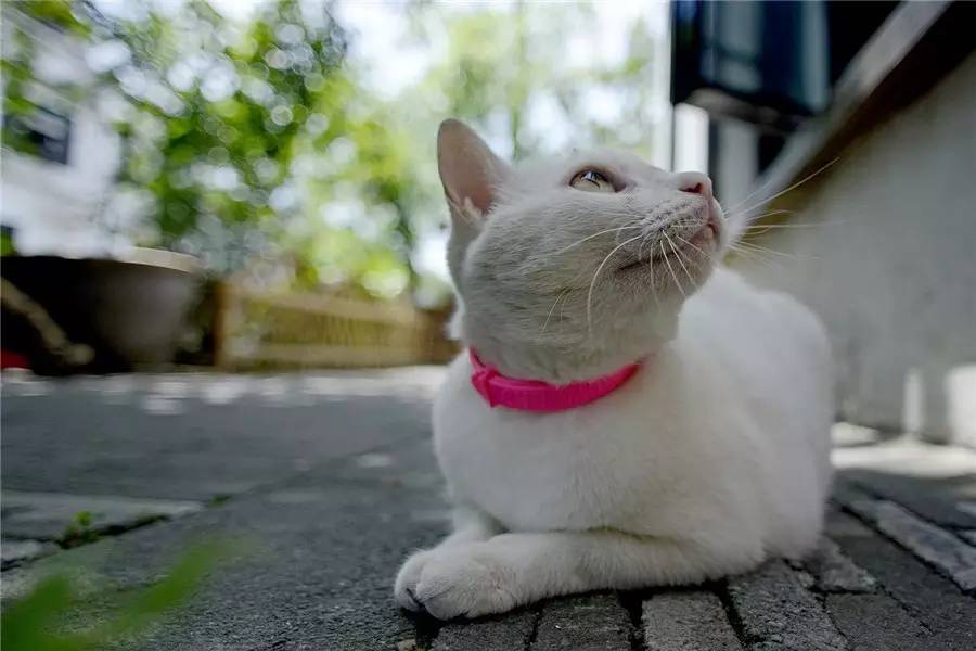 小日子生活館，選一本書過(guò)自己的生活方式