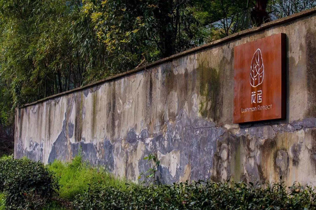 杭州龍井茂居民宿，在茶田之中枕著茶香入睡