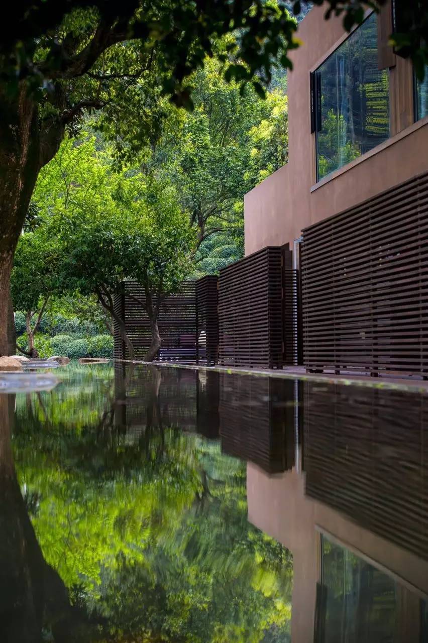 杭州龍井茂居民宿，在茶田之中枕著茶香入睡