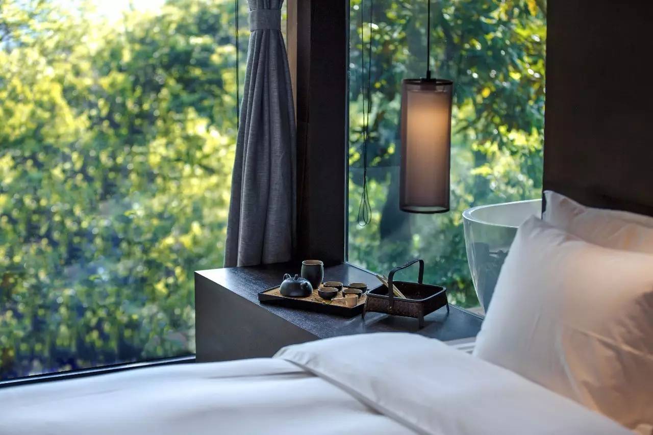 杭州龍井茂居民宿，在茶田之中枕著茶香入睡