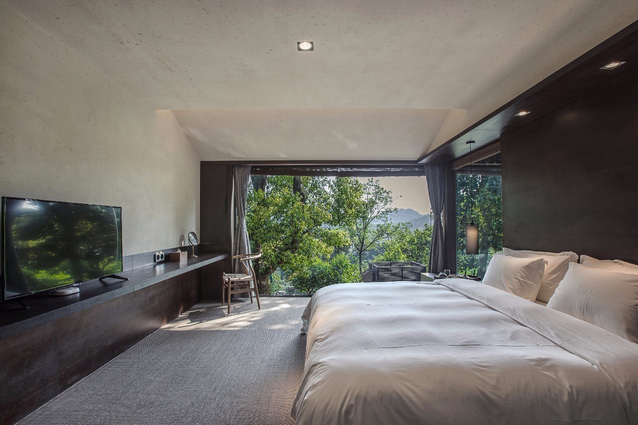 杭州龍井茂居民宿，在茶田之中枕著茶香入睡