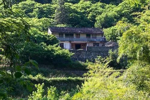 上虞陳溪鄉(xiāng)雪花谷民宿，在山谷里與自然相伴