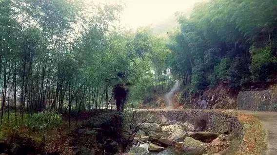 上虞陳溪鄉(xiāng)雪花谷民宿，在山谷里與自然相伴