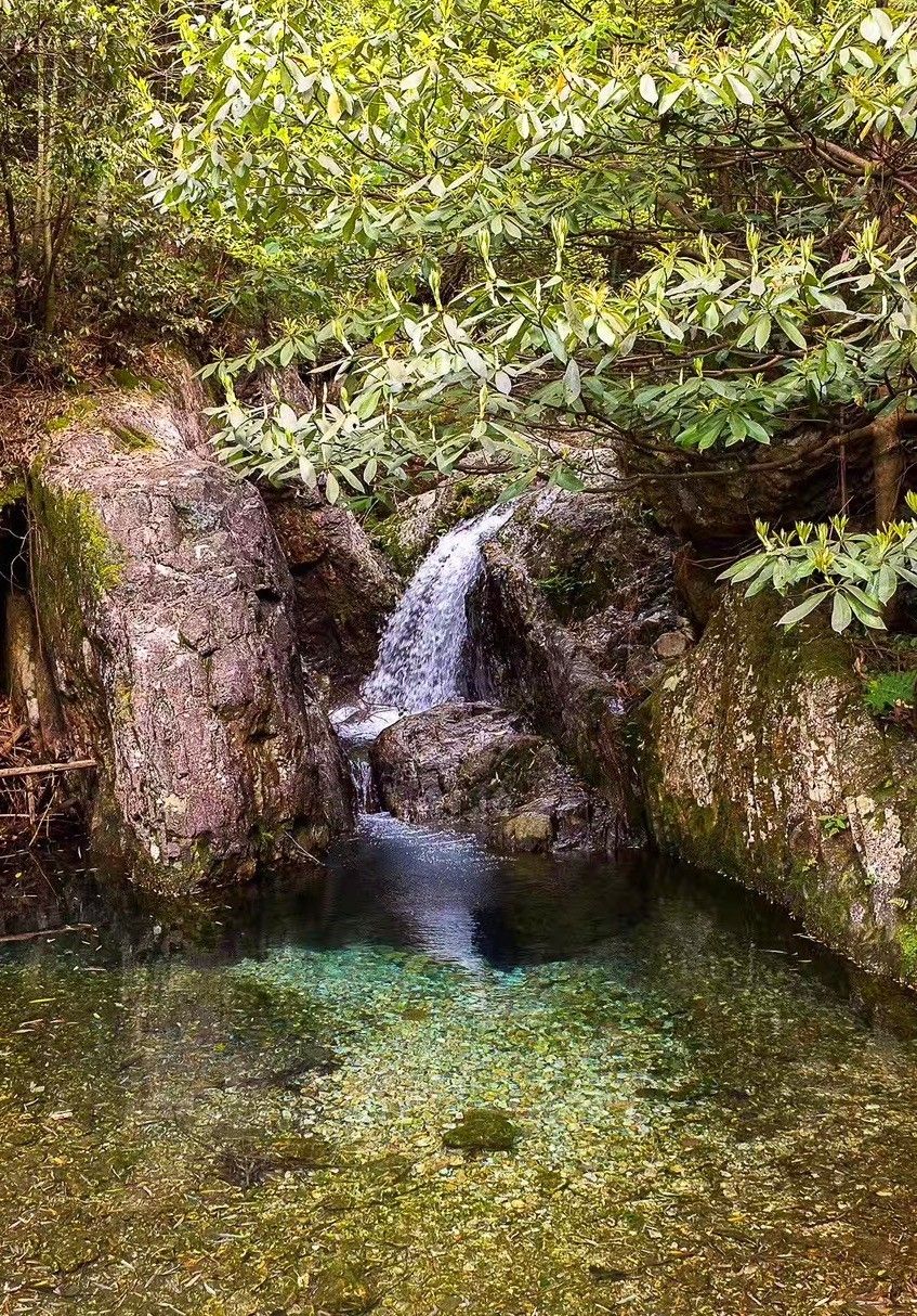 上虞陳溪鄉(xiāng)雪花谷民宿，在山谷里與自然相伴