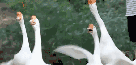 上虞陳溪鄉(xiāng)雪花谷民宿，在山谷里與自然相伴