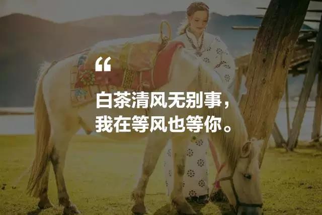 藝棧藏式客棧，我在等風(fēng)也在等你