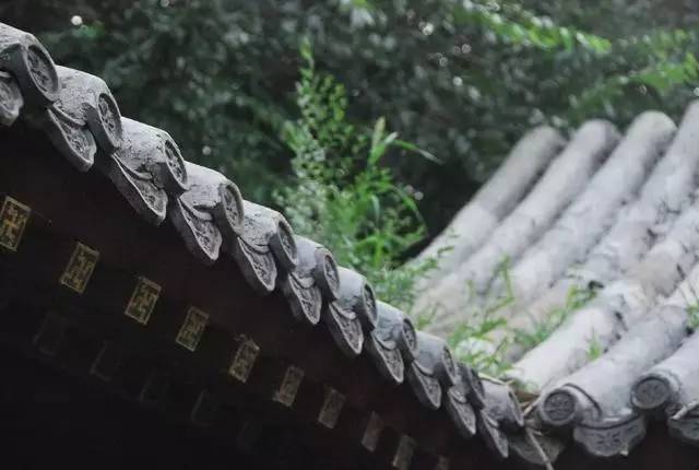 武義一水間民宿，一茶一飲盡享清閑