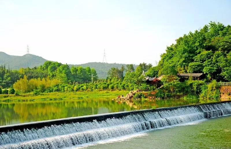 武義一水間民宿，一茶一飲盡享清閑