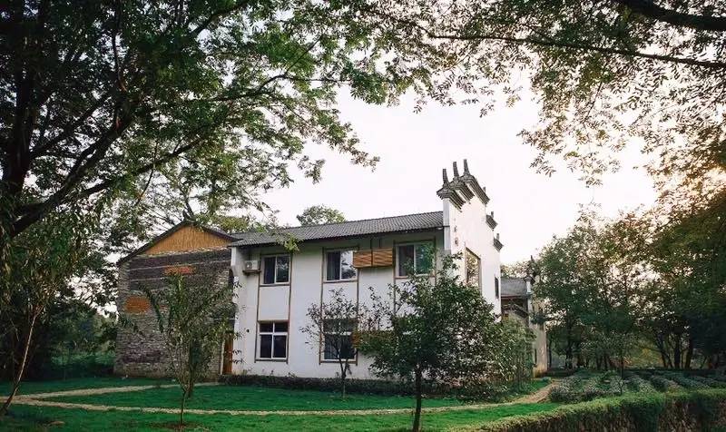 武義一水間民宿，一茶一飲盡享清閑