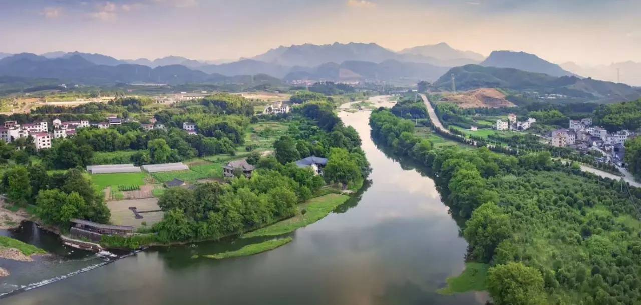 武義一水間民宿，一茶一飲盡享清閑