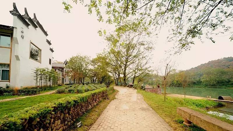 武義一水間民宿，一茶一飲盡享清閑