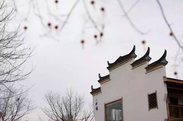 武義一水間民宿，一茶一飲盡享清閑