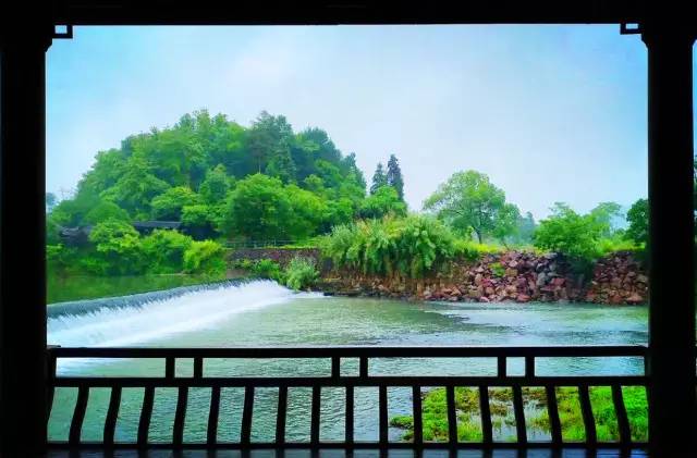 武義一水間民宿，一茶一飲盡享清閑