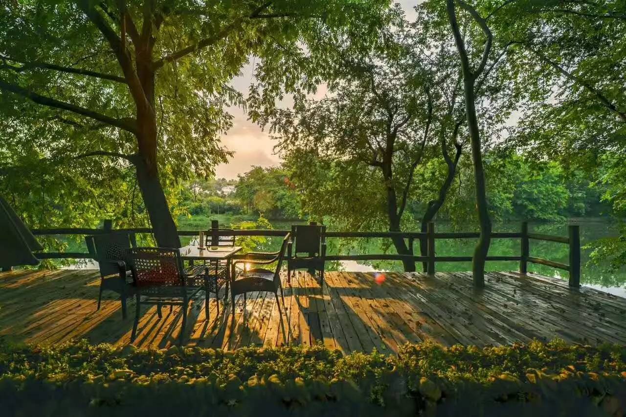 武義一水間民宿，一茶一飲盡享清閑