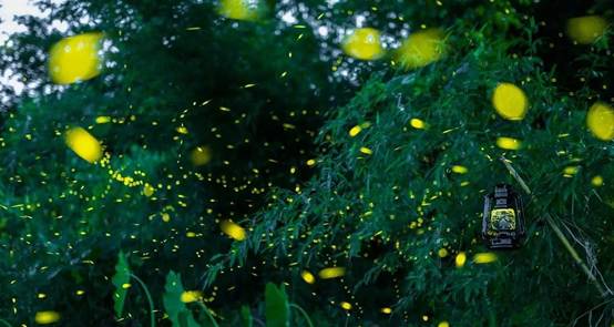 武義一水間民宿，一茶一飲盡享清閑