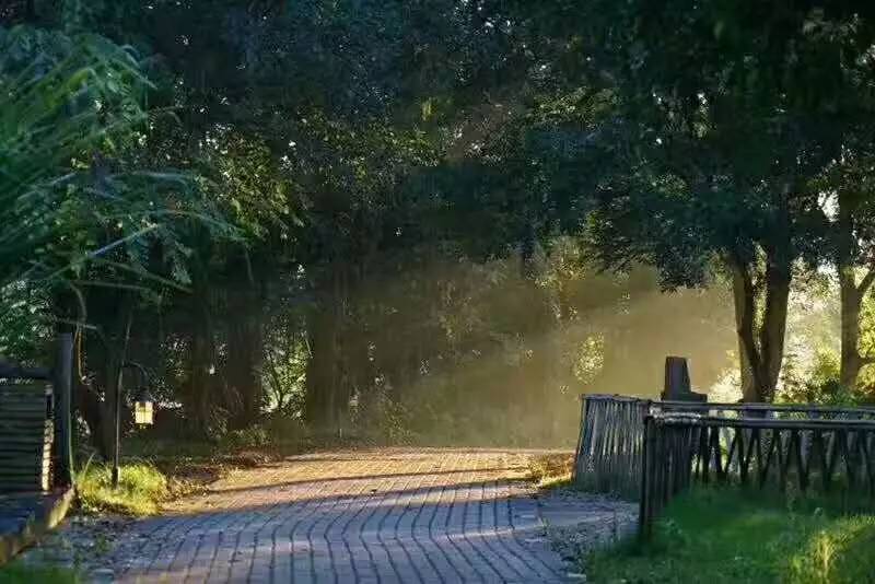 武義一水間民宿，一茶一飲盡享清閑