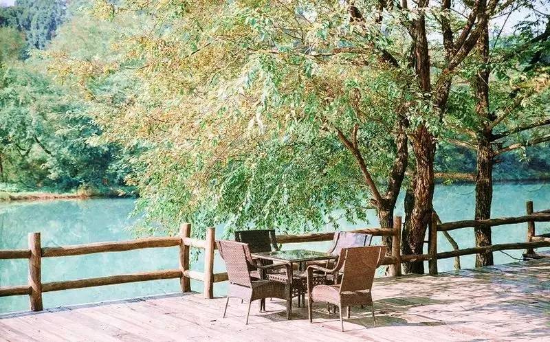 武義一水間民宿，一茶一飲盡享清閑